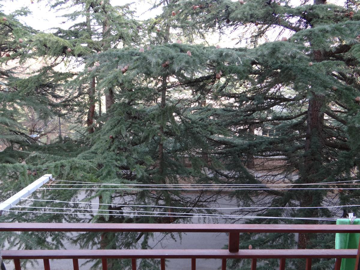 Dilijan Apartment Exterior photo